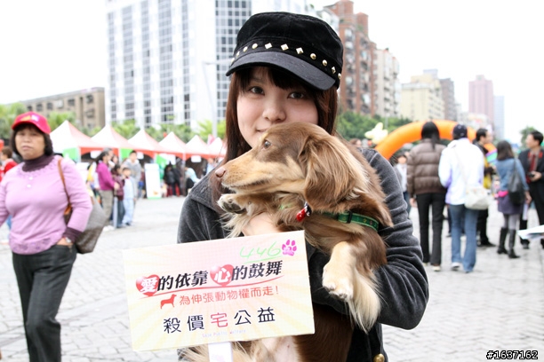 446公司去動物愛護日擺攤後記