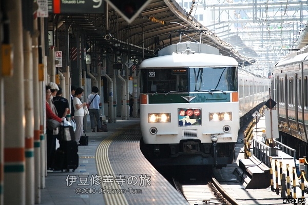 (分享東京近郊景點,圖文多)2010河口湖芝櫻祭+伊豆修善寺虹之鄉之旅