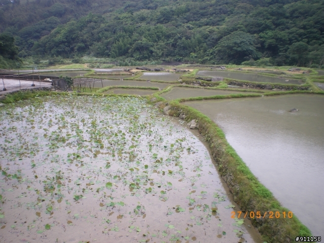 【隨走】草嶺古道單車遊- 27.05.2010