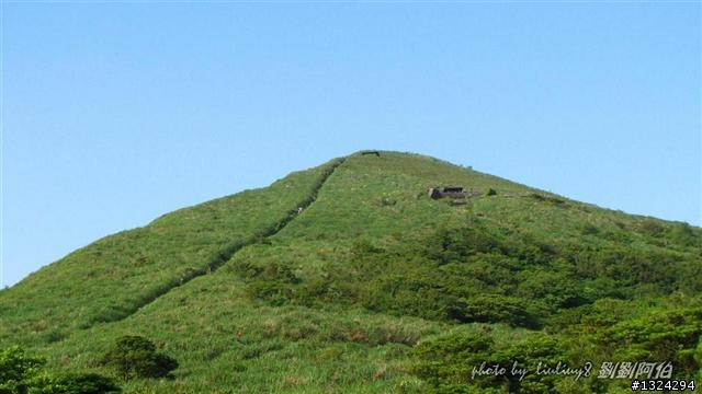 陽明山蝴蝶季搶先看(大屯山、二子坪、冷水坑)