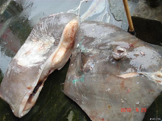 2010年4月橫跨5月之【拖了很久才發文的環島之旅】