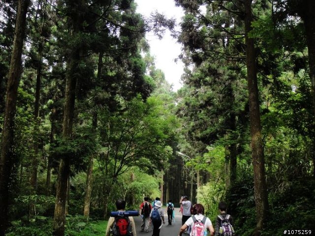 (照片)20100508溪頭天文台登山健行