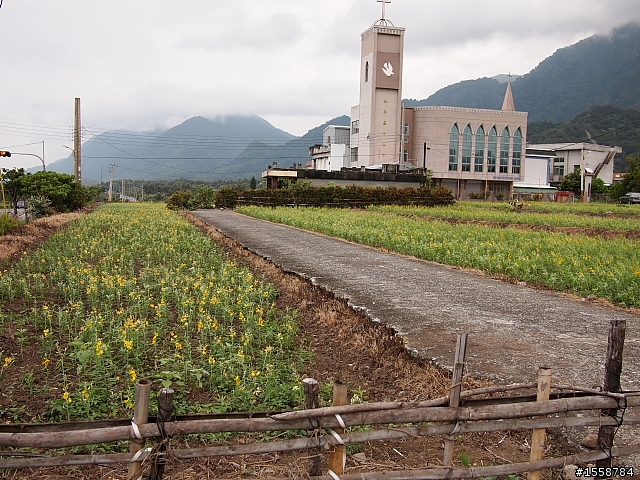 Tikit 玉長公路之旅