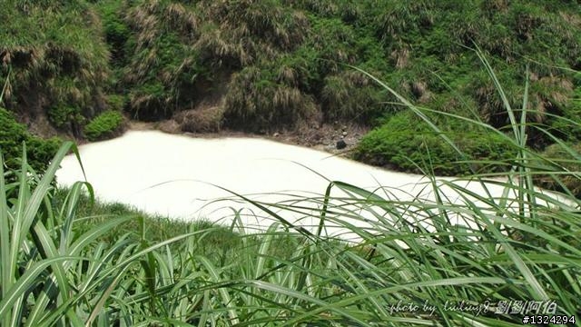 陽明山蝴蝶季搶先看(大屯山、二子坪、冷水坑)