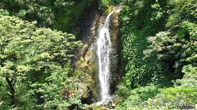 陽明山蝴蝶季搶先看(大屯山、二子坪、冷水坑)