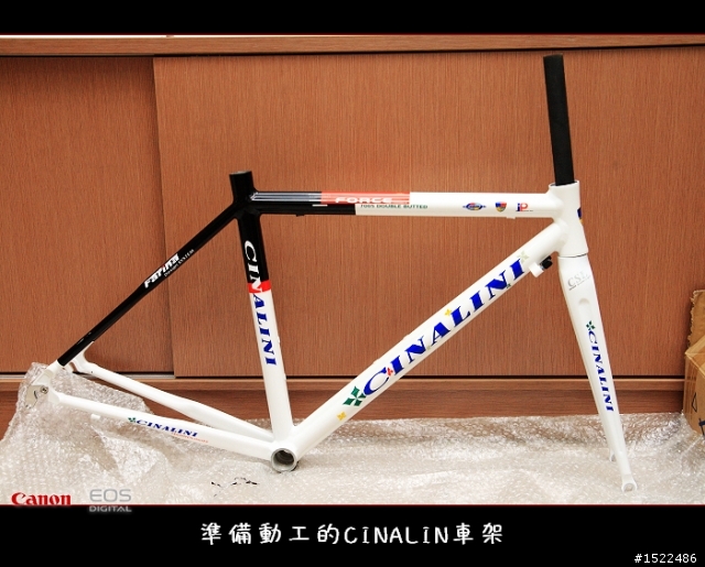 我的自組入門公路車 雖然他不高檔