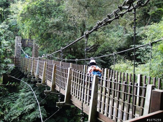 (照片)20100508溪頭天文台登山健行