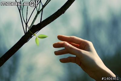 [開箱文] Leaf Tie 小嫩葉束線帶 分享