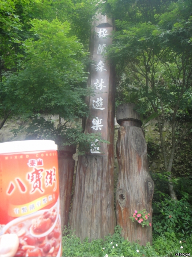 浪跡武陵之漫步在雲端於2010-05-09
