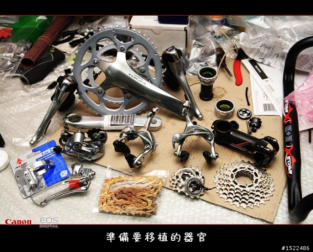 我的自組入門公路車 雖然他不高檔