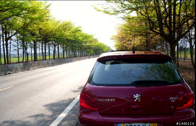 207 汽油比擬柴油車