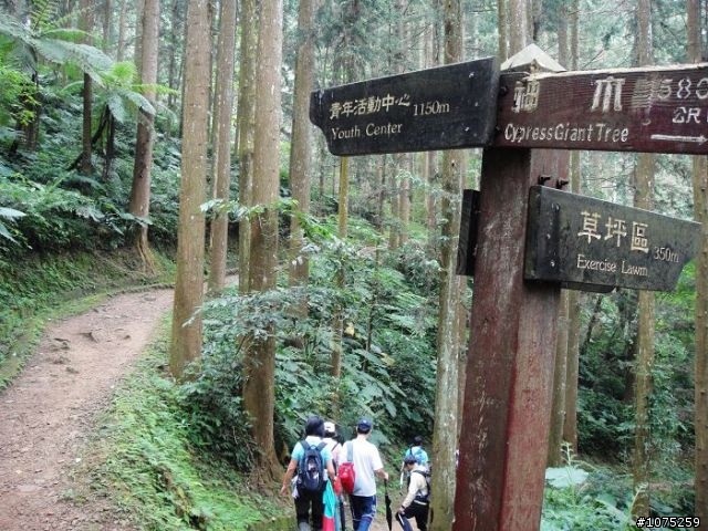 (照片)20100508溪頭天文台登山健行