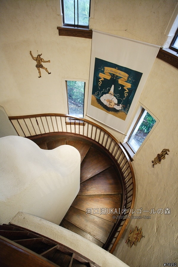 (分享東京近郊景點,圖文多)2010河口湖芝櫻祭+伊豆修善寺虹之鄉之旅