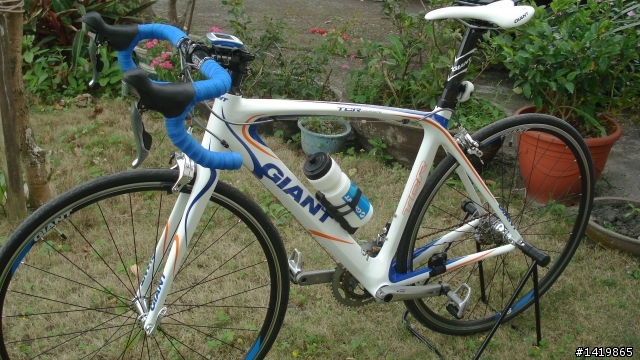真的是好車2011 TCR COMP1