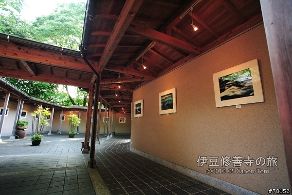 (分享東京近郊景點,圖文多)2010河口湖芝櫻祭+伊豆修善寺虹之鄉之旅