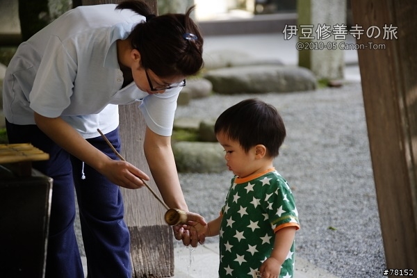 (分享東京近郊景點,圖文多)2010河口湖芝櫻祭+伊豆修善寺虹之鄉之旅