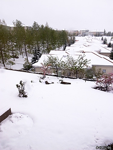 [分享] 雪國來的Z