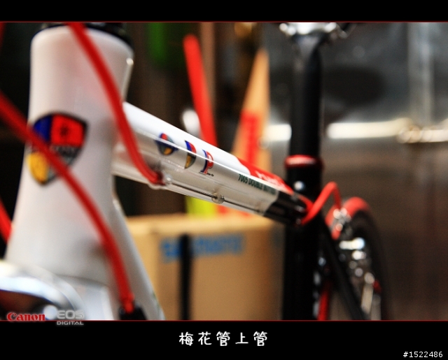 我的自組入門公路車 雖然他不高檔