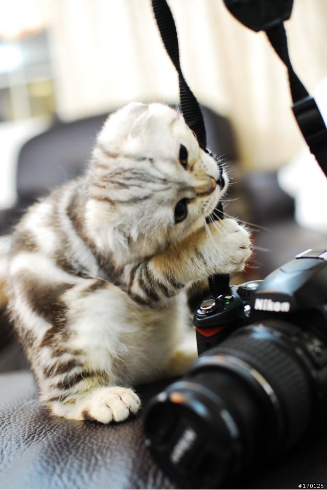 有這麼恨D40嗎....   OH...