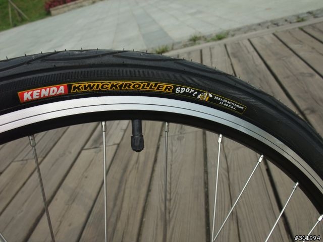 2011 GIANT TALON DISC 紅白