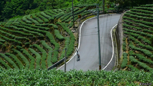 [遊記] 我們的藍鵲公路.........北43/北42