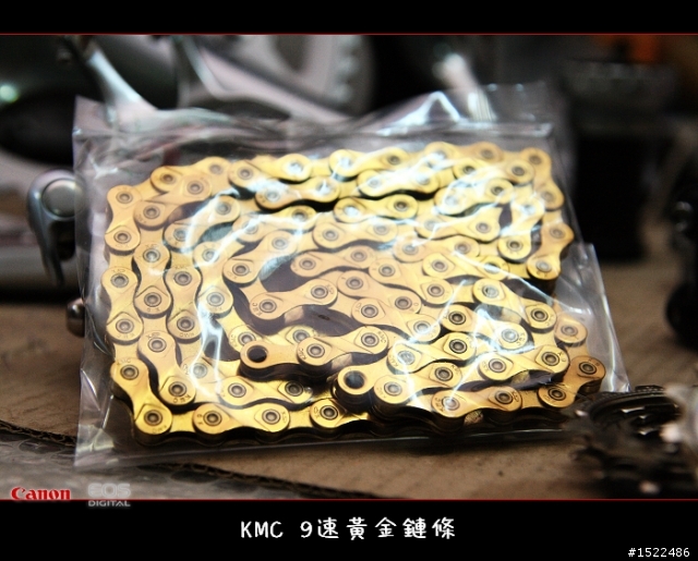 我的自組入門公路車 雖然他不高檔