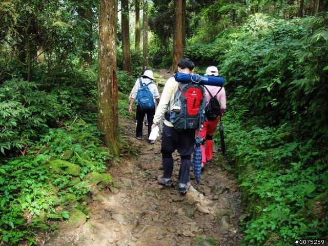 (照片)20100508溪頭天文台登山健行