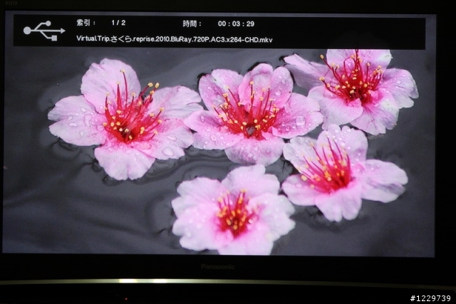 影音便當盒—Apacer AL670