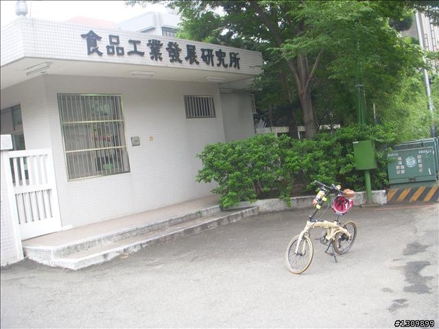 2010全國自行車日515在新竹