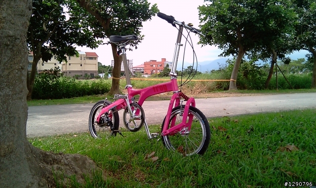 MOMO-FROG~是蛙車不是鳥車
