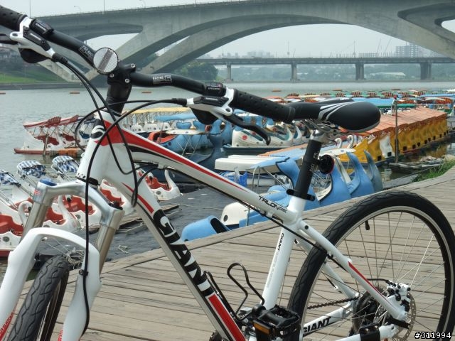 2011 GIANT TALON DISC 紅白