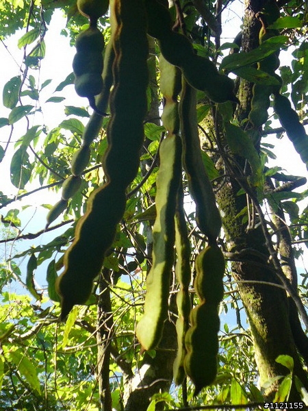 今日北大武 不騎車