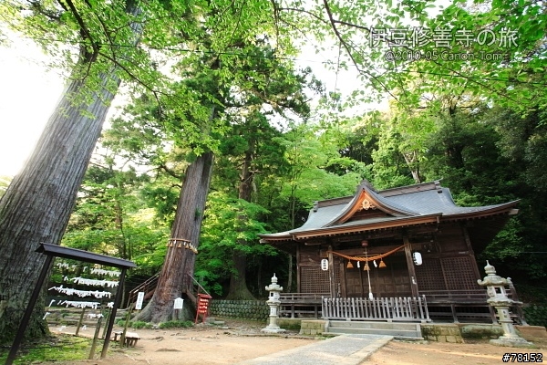 (分享東京近郊景點,圖文多)2010河口湖芝櫻祭+伊豆修善寺虹之鄉之旅