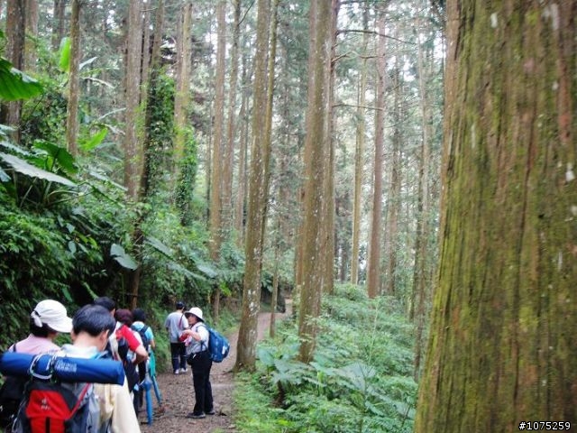 (照片)20100508溪頭天文台登山健行
