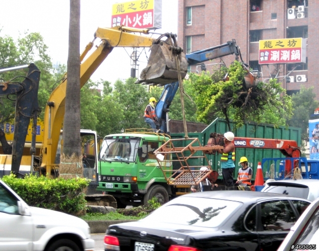 再見了！椰子樹！