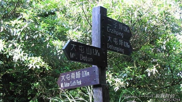 陽明山蝴蝶季搶先看(大屯山、二子坪、冷水坑)