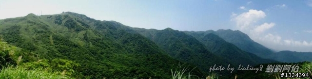 陽明山蝴蝶季搶先看(大屯山、二子坪、冷水坑)