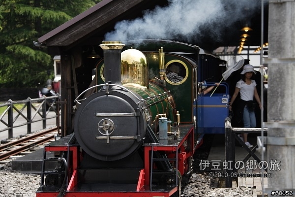 (分享東京近郊景點,圖文多)2010河口湖芝櫻祭+伊豆修善寺虹之鄉之旅