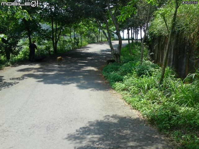 [新手分享]忘了煩人事物及時間，走員林運動公園上鳳山寺