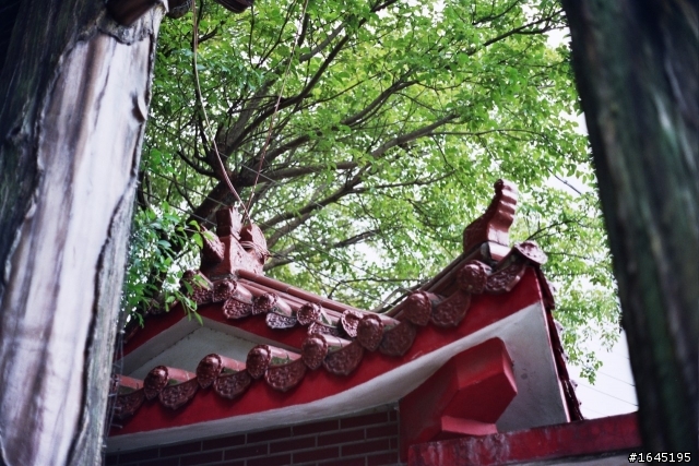 小弟的Minolta 7s....