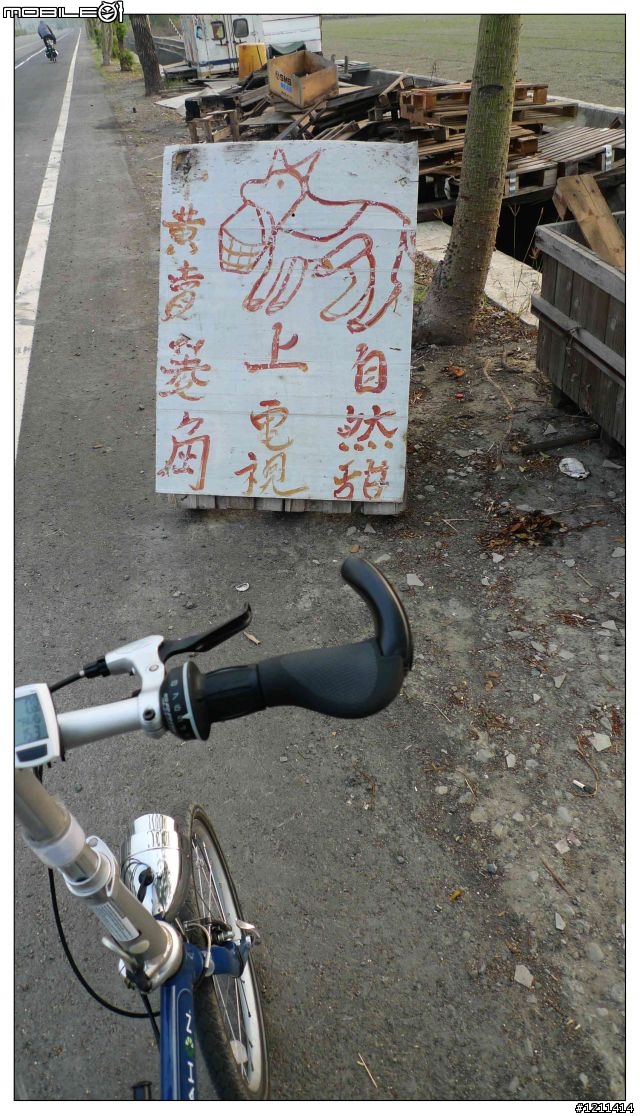 雅痞小摺環島8日，重裝上陣。
