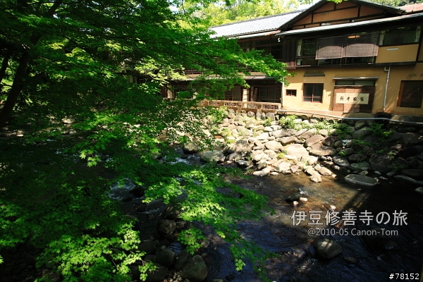 (分享東京近郊景點,圖文多)2010河口湖芝櫻祭+伊豆修善寺虹之鄉之旅