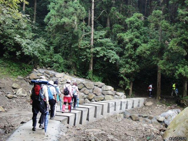 (照片)20100508溪頭天文台登山健行