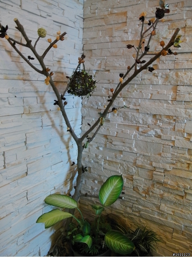 [分享]空屋DIY設計蛻變成日租套房