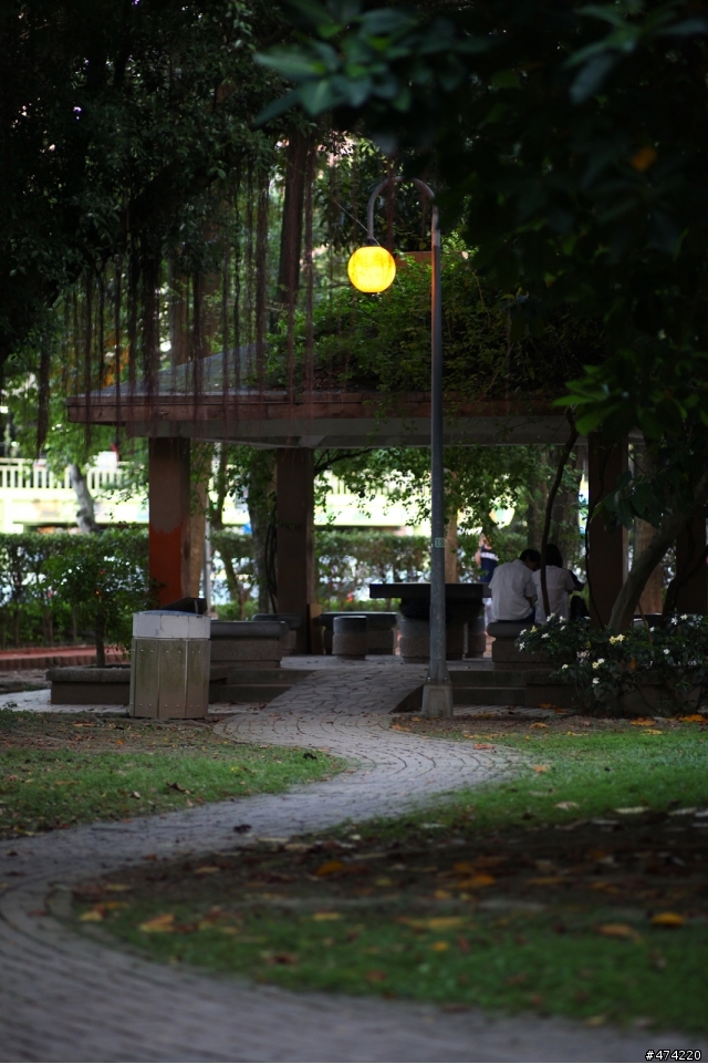 當5d2 遇上 contax c/y 135F2 德鏡