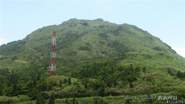 陽明山蝴蝶季搶先看(大屯山、二子坪、冷水坑)