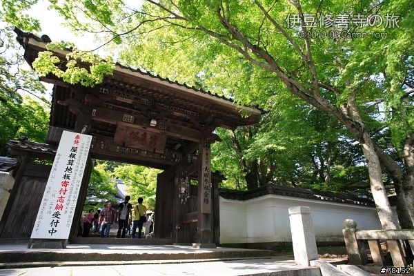 (分享東京近郊景點,圖文多)2010河口湖芝櫻祭+伊豆修善寺虹之鄉之旅