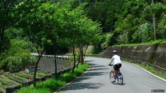 [遊記] 我們的藍鵲公路.........北43/北42