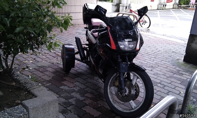老年FZR