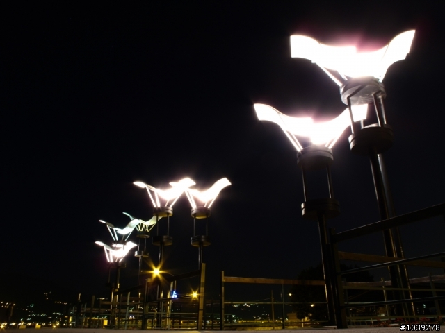 艋舺-中社(順此認識萬華車友)